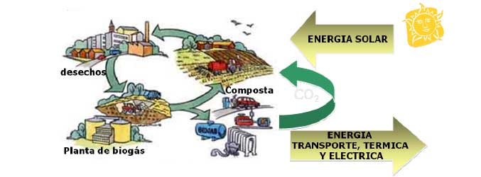 Biogas